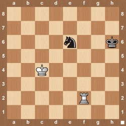 Rook Vs Knight Endgame The Chess Website