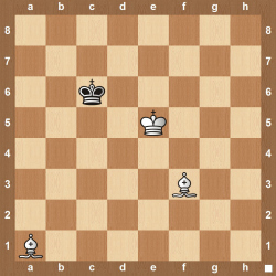 checkmate with only two bishops